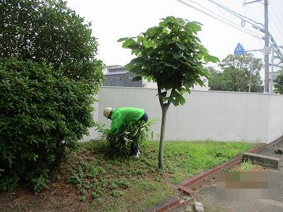 隅々まで